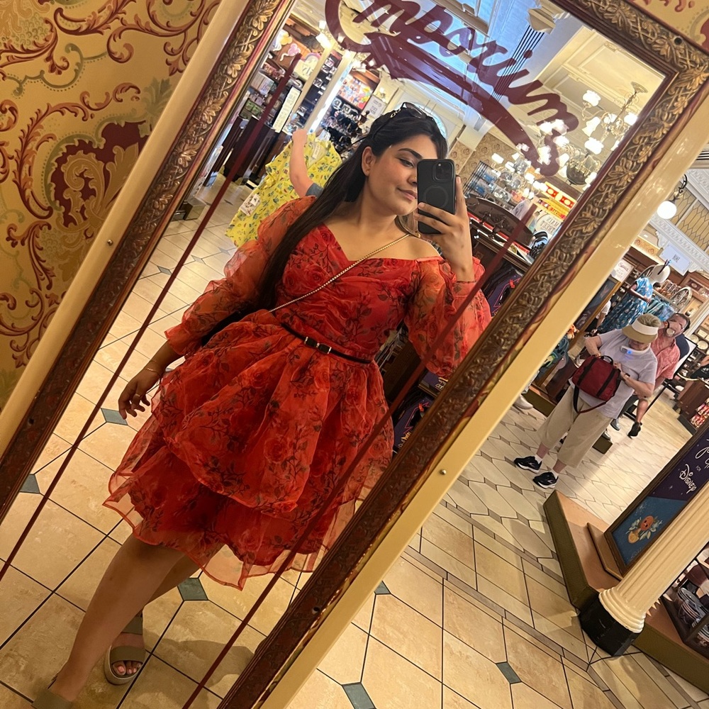 Floral Print Organza Princess Dress